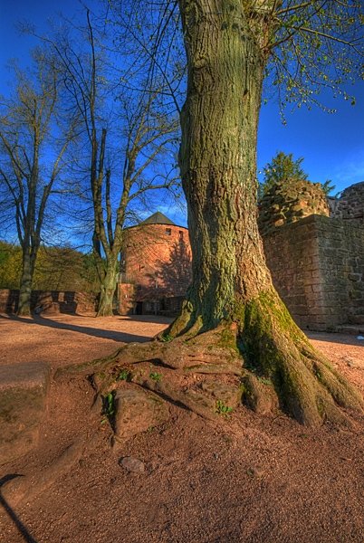 Burg Kerpen in Illingen