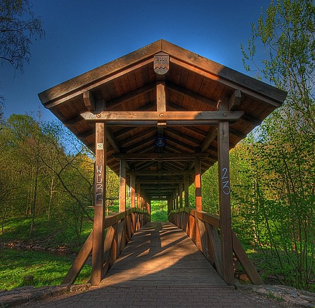 Burg Kerpen in Illingen