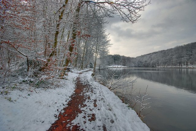 Wintertag im Wald