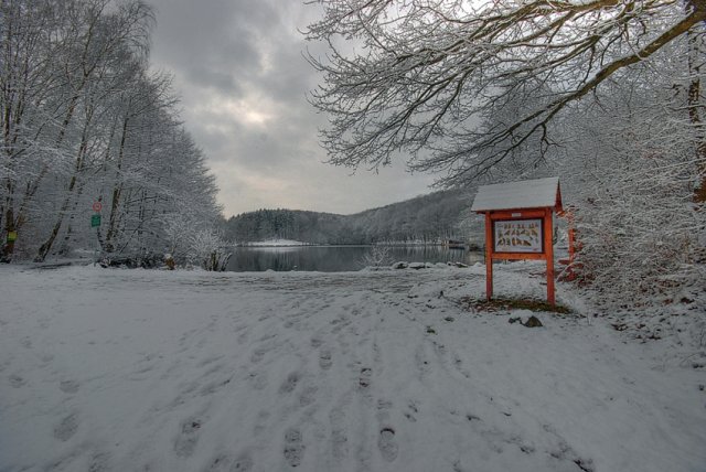 Wintertag im Wald