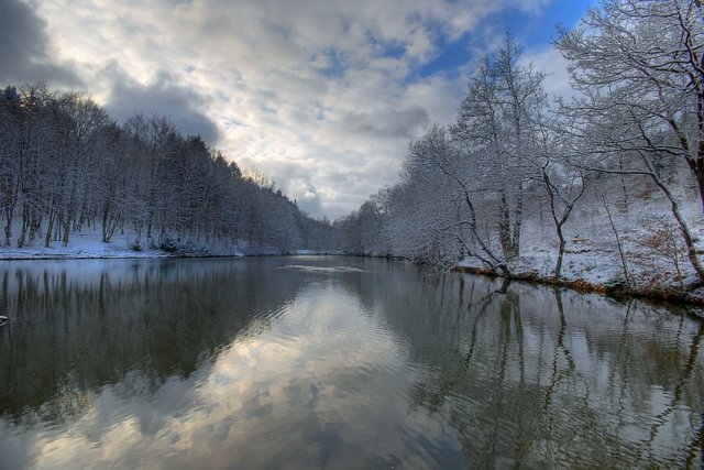 Wintertag im Wald