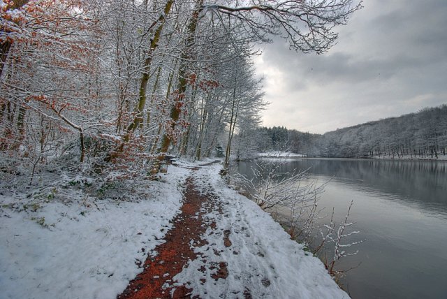 Wintertag im Wald
